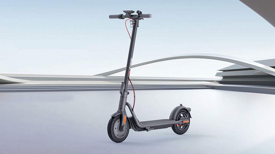 Electric Scooter License