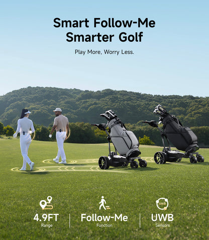 Carrito de golf eléctrico NAVEE Birdie 3X