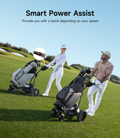 Carrito de golf eléctrico NAVEE Birdie 3X