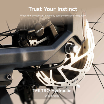 NAVEE Wolf X Electric Bike